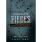 Picking Through The Pieces: The Life Story of An Aircraft Accident Investigator - Hardcover