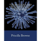 The Biologics and Biotechnology Handbook for Engineers - Paperback