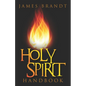 Holy Spirit Handbook - Paperback
