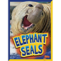 Elephant Seals - Paperback