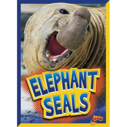Elephant Seals - Paperback