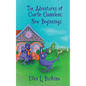 The Adventures of Charlie Chameleon: New Beginnings - Paperback