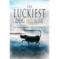 The Luckiest Dog Not Alive - Paperback