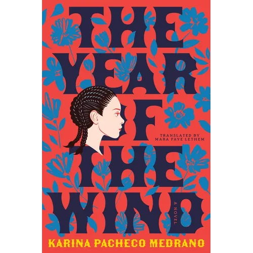 The Year of the Wind - Paperback