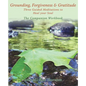 Grounding, Forgiveness & Gratitude: Guided Meditations to Heal Your Soul - Paperback