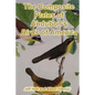 The Composite Plates of Audubon's Birds of America - Paperback