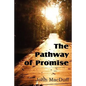 The Pathway of Promise, Words of Comfort to the Christian Pilgrim - Paperback