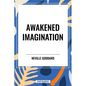 Awakened Imagination - Hardcover