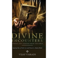 Divine Encounters: Stories and Lessons from The Bible - Inspiring Tales of Faith, Love and Virtue for a Modern World - Hardcover