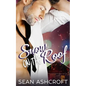 Snow on the Roof - Paperback