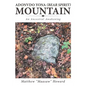 Adonvdo Yona (Bear Spirit) Mountain: An Ancestral Awakening - Paperback