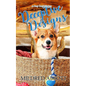 Deceptive Designs - Paperback