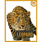Leopard - Paperback