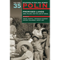 Polin: Studies in Polish Jewry Volume 35: Promised Lands: Jews, Poland, and the Land of Israel - Paperback