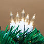 Warm White Indoor/Outdoor M6 LED Light Set - Warm White - White Wire