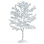 Snowy Black Walnut Tree