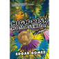 High-Risk Homosexual: A Memoir - Paperback