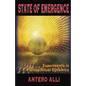 State of Emergence: Experiments in Group Ritual Dynamics - Paperback