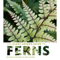 The Plant Lover's Guide to Ferns - Hardcover
