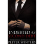 Second Debt - Paperback