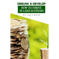Debunk & Develop: How to Thrive In a Bad Economy - Paperback