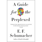 A Guide for the Perplexed - Paperback