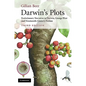 Darwin's Plots: Evolutionary Narrative in Darwin, George Eliot and Nineteenth-Century Fiction - Paperback
