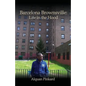 Barcelona Brownsville: Life in the Hood - Paperback