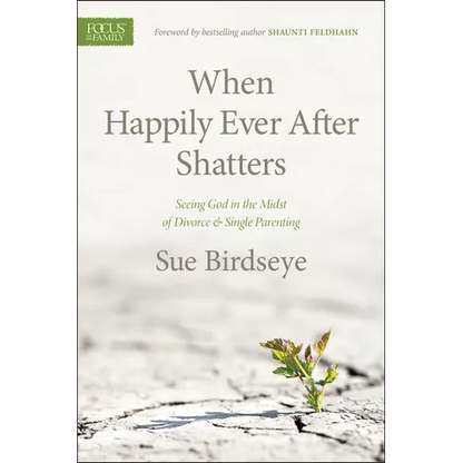 When Happily Ever After Shatters: Seeing God in the Midst of Divorce & Single Parenting - Paperback