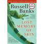 Lost Memory of Skin - Paperback