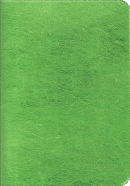 Soft Cover Foil Cover Mini Notebook 3 pack - Green/Gray/Red