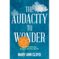 The Audacity to Wonder: A Journey of Persistence, Resilience, Gratitude, and Love - Paperback