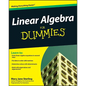 Linear Algebra for Dummies - Paperback