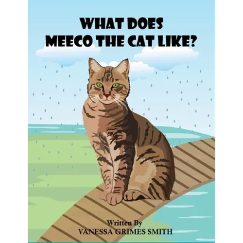 What Does Meeco The Cat Like? - Paperback