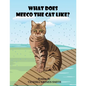 What Does Meeco The Cat Like? - Paperback