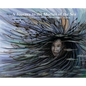 A Journey to the Mother of the Sea - Hardcover