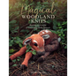 Magical Woodland Knits: Knitting Patterns for 12 Wonderfully Lifelike Animals - Paperback