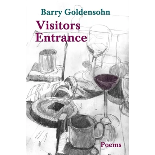 Visitors Entrance - Paperback