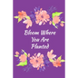 Bloom Where You Are Planted: Guided and Mindfulness Self-Care Prompted - Paperback