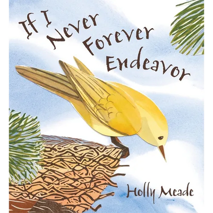 If I Never Forever Endeavor - Hardcover