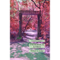 Theosophical Basics: Esoteric Classics - Paperback