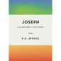 Joseph: From Dreamer to Deliverer - Hardcover