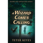 A Wizard Comes Calling - Hardcover