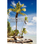 Papa Mike's Cook Islands Handbook Second Edition - Paperback