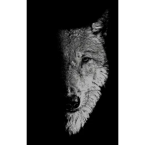 In the Company of Wolves: Werewolves, Wolves and Wild Children - Paperback
