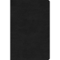 ESV Value Compact Bible (Trutone, Black) - Imitation Leather