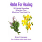 Herbs For Healing: 101 Herbal Remedies What Are They What Are They Used For - Paperback