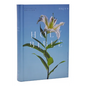 NRSV Catholic Edition Bible, Easter Lily Hardcover (Global Cover Series): Holy Bible - Hardcover