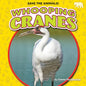 Whooping Cranes - Paperback