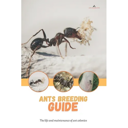 Ants breeding guide: The life and maintenance of ant colonies - Paperback
